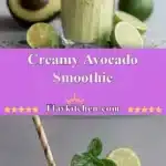 creamy avocado smoothie 2025 11 12 213548 150x150 1