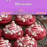 peppermint red velvet blossoms 2025 11 21 092306 150x150 1