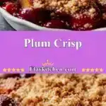 Plum Crisp 3 plum crisp 2025 11 12 213524 150x150 1