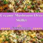 creamy mushroom orzo skillet 2025 12 31 005019 150x150 1