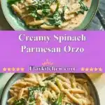 creamy spinach parmesan orzo 2025 12 07 002926 150x150 1