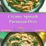 creamy spinach parmesan orzo 2025 12 19 012401 150x150 1