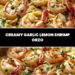 creamy garlic lemon shrimp orzo 2026 01 24 173638 1