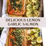 lemon garlic butter salmon 2026 01 12 214515 512x1024 1