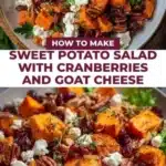 sweet potato salad with cranberries and goat chees 2026 01 24 173546 512x1024 1