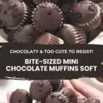 bite sized mini chocolate muffins too cute to res 2026 03 25 064948 512x1024 1