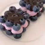 blueberry chocolate yogurt brick 2026 03 12 233331 1