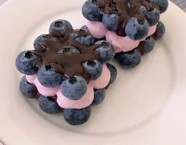 Delicious blueberry chocolate yogurt brick made with creamy yogurt and rich chocolate