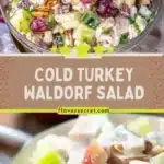 Cold Turkey Waldorf Salad 3 cold turkey waldorf salad 2026 03 25 064841 512x1024 1