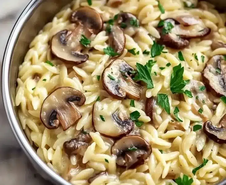 Creamy orzo with mushrooms served in a bowl, showcasing a cozy 30-minute meal.