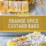 Holiday Orange Spice Custard Bars 3 holiday orange spice custard bars 2026 03 24 011727 512x1024 1