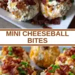 mini cheeseball bites 2026 03 18 062641 512x1024 1