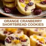 Orange Cranberry Shortbread Cookies 3 orange cranberry shortbread cookies 2026 03 24 011655 512x1024 1