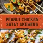 peanut chicken satay skewers 2026 03 24 011759 512x1024 1