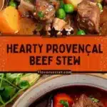 provencal beef stew with red wine herbs 2026 03 24 011748 512x1024 1