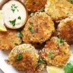 tuna patties 2026 03 12 233239 1