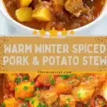 winter spiced pork potato stew 2026 03 24 011753 512x1024 1