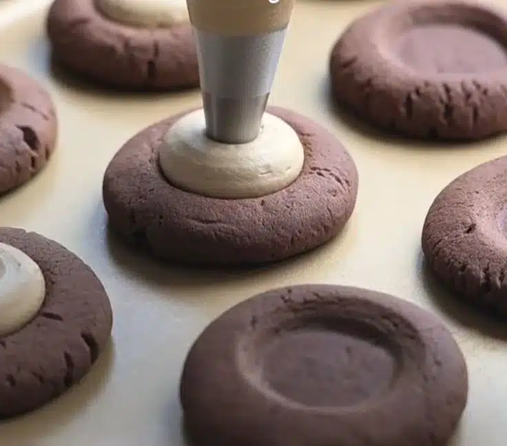 Delicious tiramisu ice cream cheese cookies topped with cocoa powder.